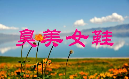 首页-<em>臭美女鞋</em>-- 淘宝网