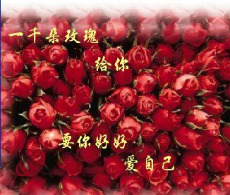 <em>首页</em>-转角<em>遇到</em>缘<em>女装</em>馆-- 淘宝网