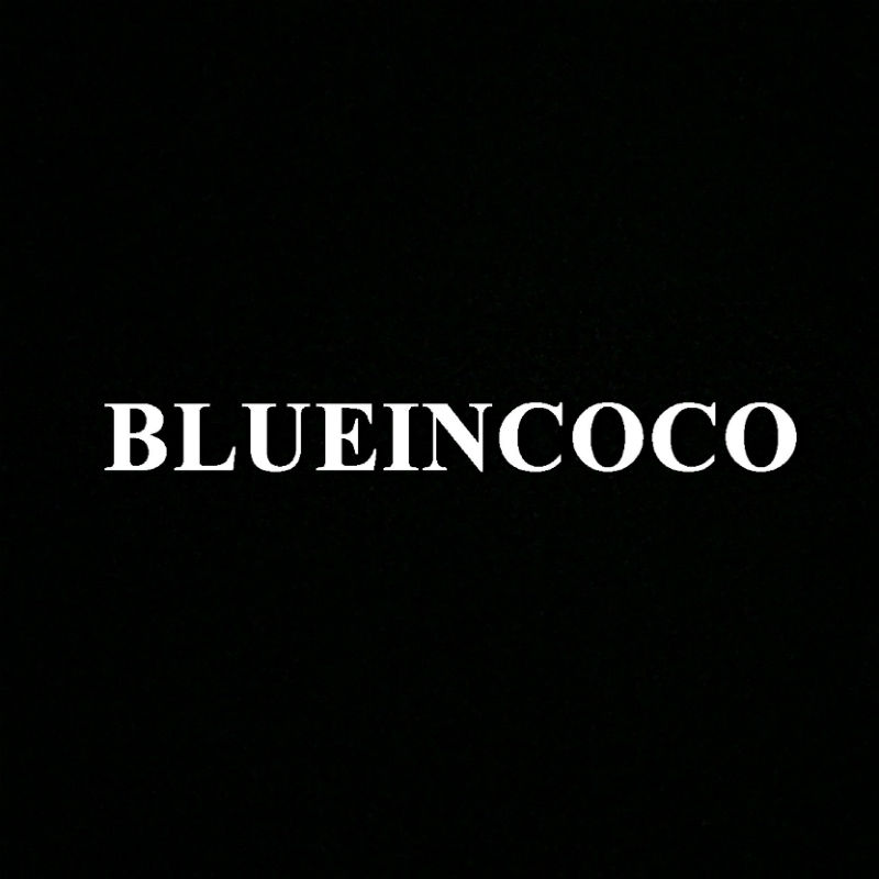 Blueincoco饰品