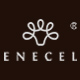 ENECEL国货羊毛鞋品牌店