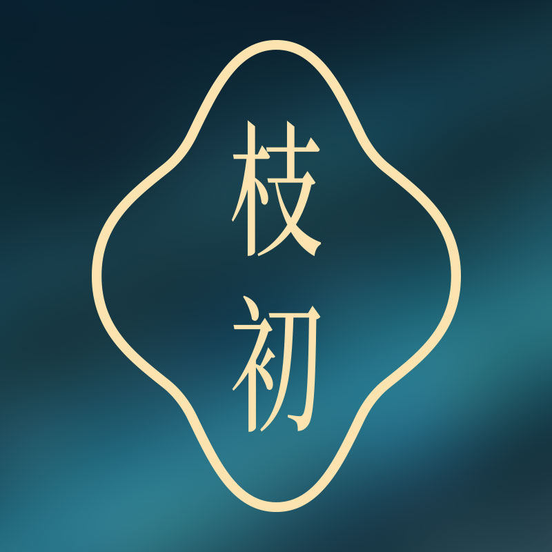 枝初旗舰店
