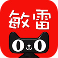 敏雷旗舰店