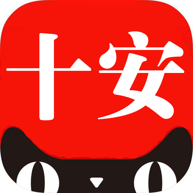 十安医疗器械专营店