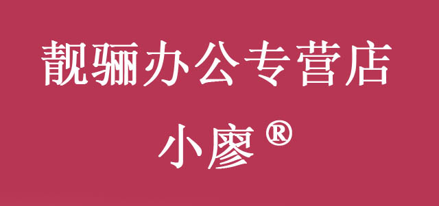 靓骊办公专营店