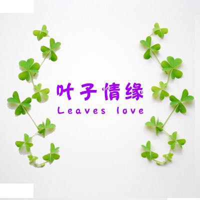 叶子情缘 Leaves love