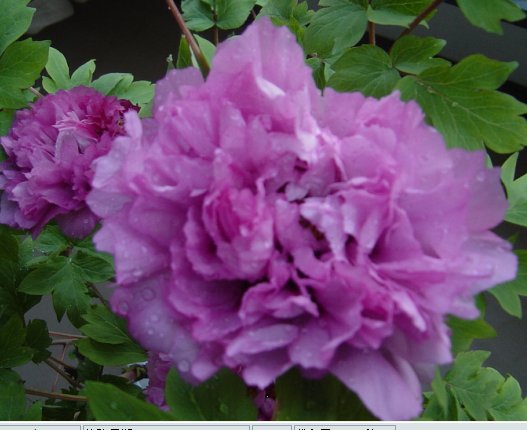 服饰用品 专柜正品,乖宝宝婴幼儿童用品生活馆