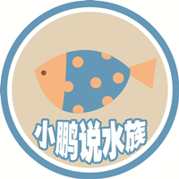 小鹏说水族官方企业店