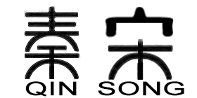 秦宋数码专营店