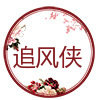 追风侠旗舰店