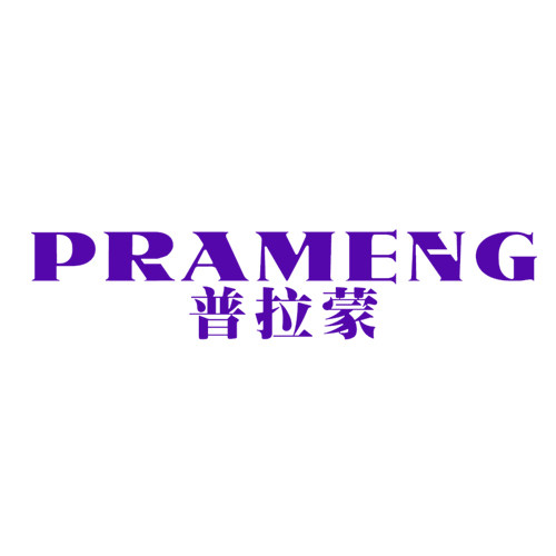 普拉蒙旗舰店