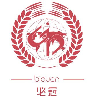 必冠旗舰店