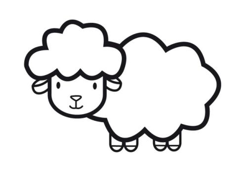 小绵羊sheep
