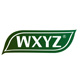 wxyz旗舰店