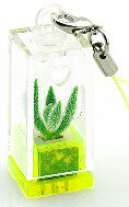 迷你植物园