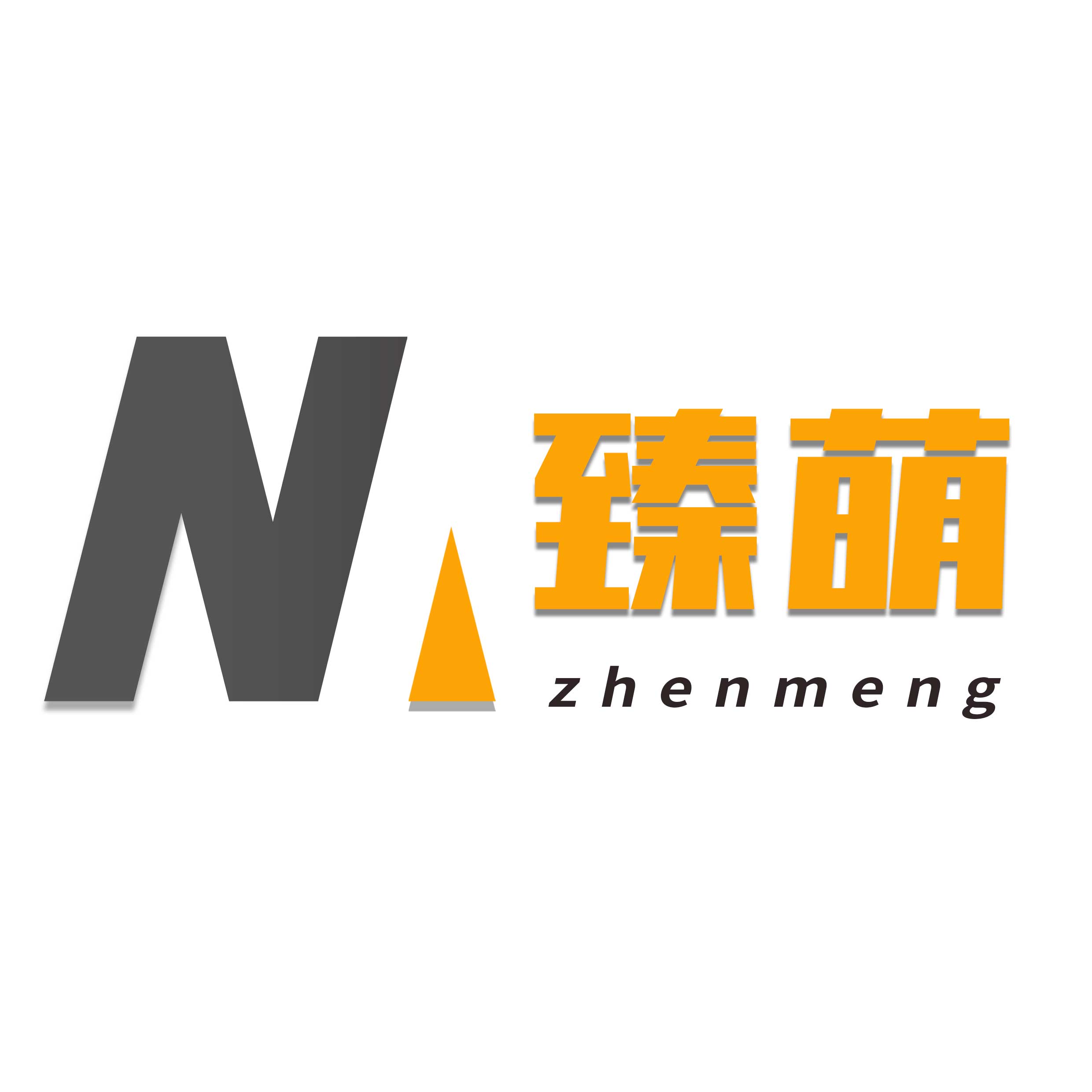 臻萌车品专营店