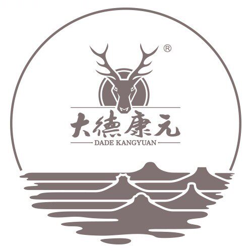 大德康元旗舰店