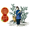 享客旗舰店