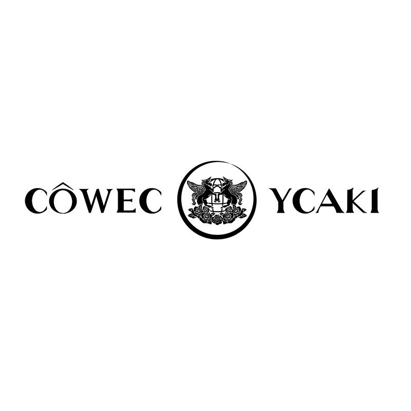cywe旗舰店