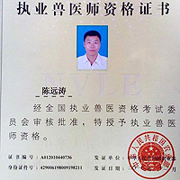 执业兽医师陈老师