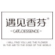 遇见香芬杰识专卖店