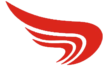 风情空运
