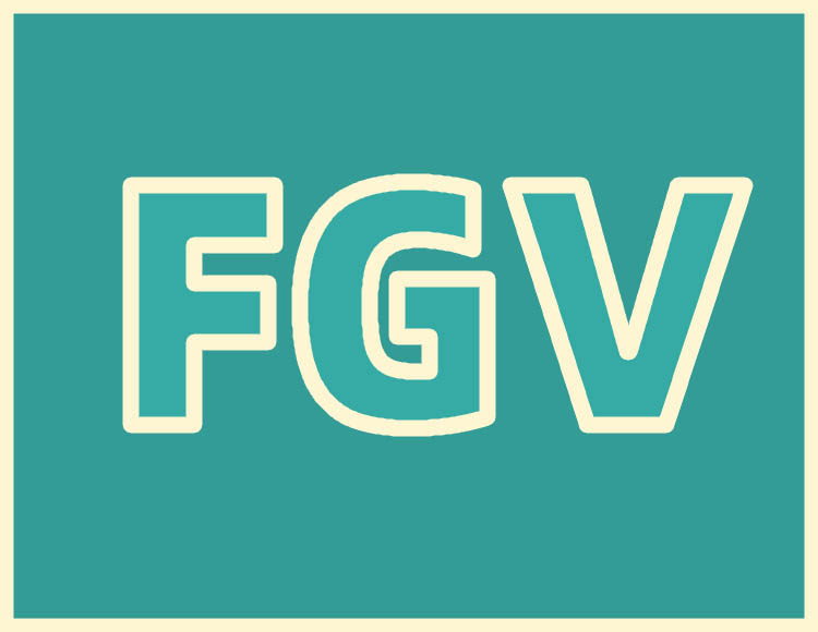 fgv旗舰店