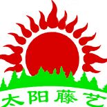 太阳藤艺