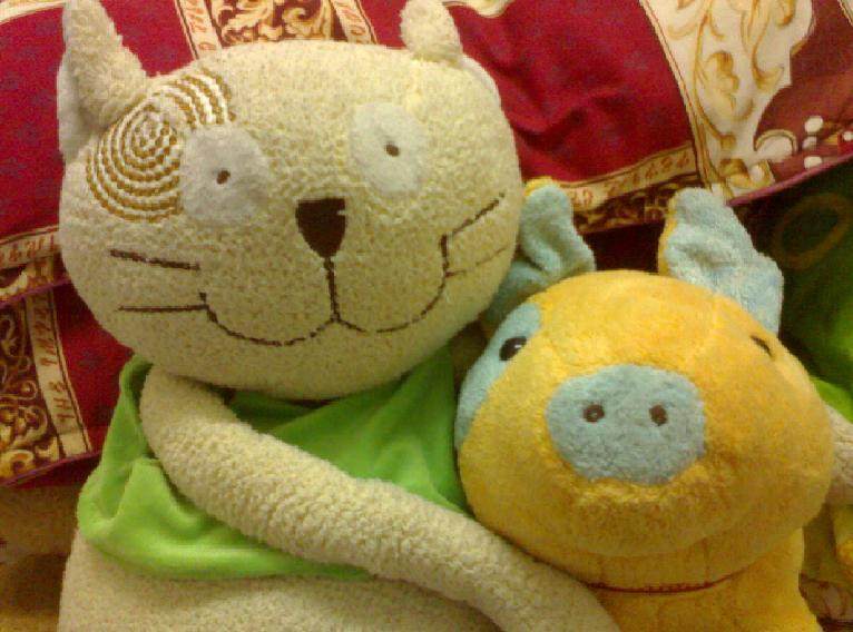 康妮糖 C& C 主营<em>播牌女装</em>及旗下品牌PPT- -