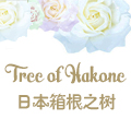日本箱根之树Tree of Hakone