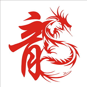 一品龙食品专营店
