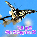  �������ݵ�
