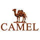 camelus旗舰店