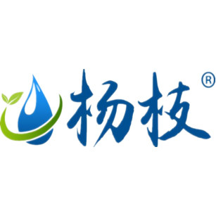 杨枝旗舰店