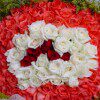 �밮��С��ʹ��Ӥͯ�����