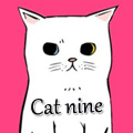 Cat nine猫九