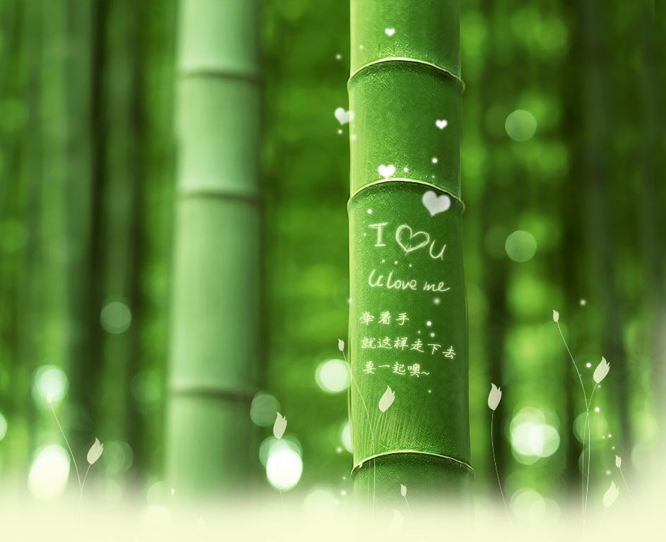 中国,网店,可生香港胶原蛋白专卖店,宁波商盟柯