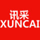 讯采旗舰店