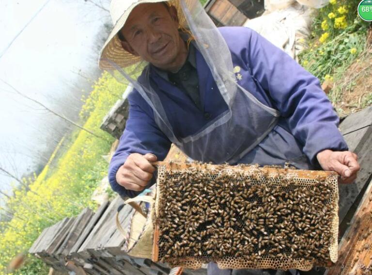 运隆蜂业农家自产自销蜂蜜