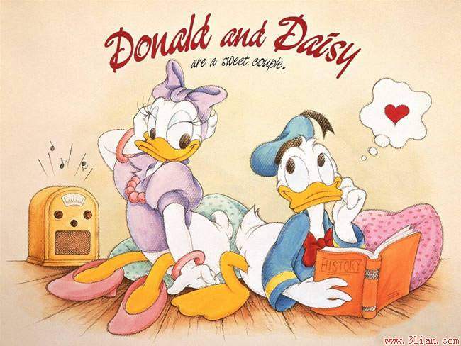 中国,网店,Koala树袋熊,可爱宝贝小恬恬@乳加