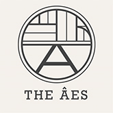 THE AES  安上