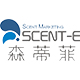 森蒂菲旗舰店