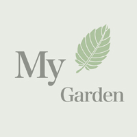 一个人的花园Mygarden