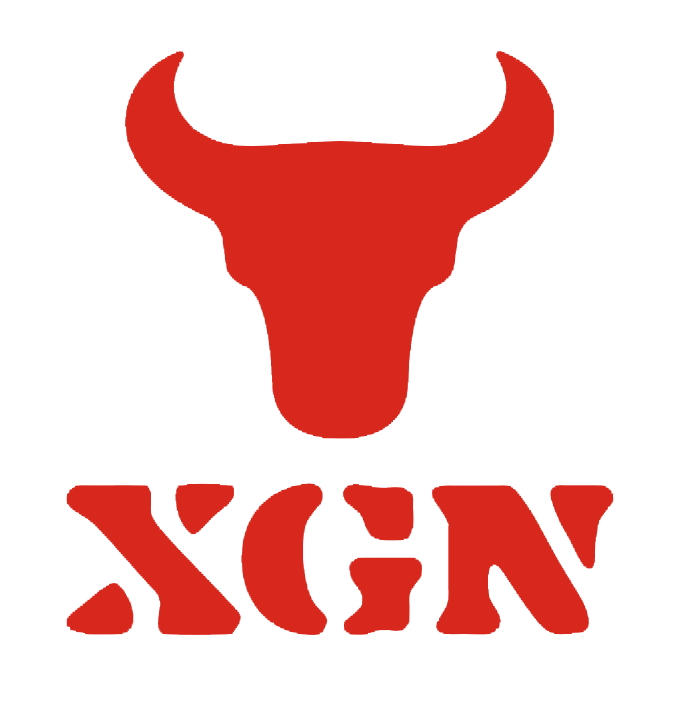 xgn旗舰店