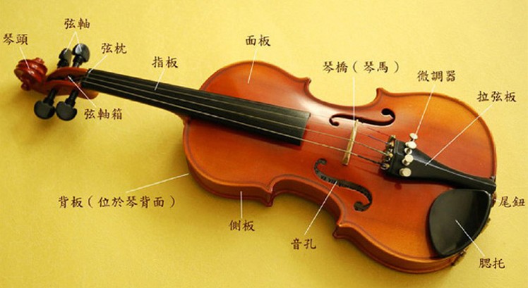 泰兴市华溪提琴