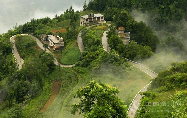 云利高山食材