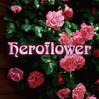 heroflower旗舰店
