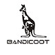 bandicoot旗舰店