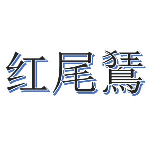 红尾鵟旗舰店