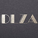 DLZA旗舰店