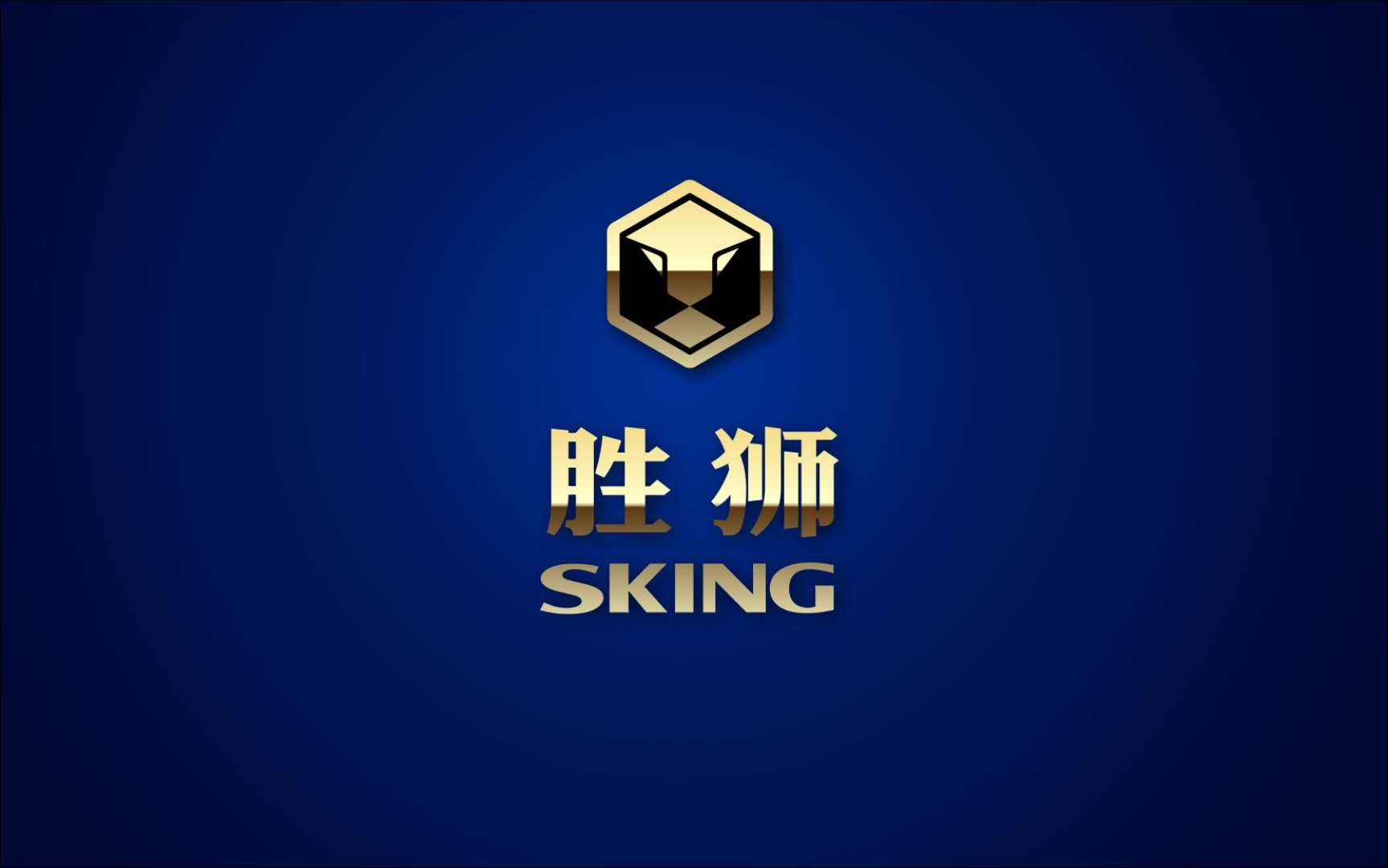 胜狮数码旗舰店
